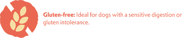 glutenvrije zalm hondenvoer