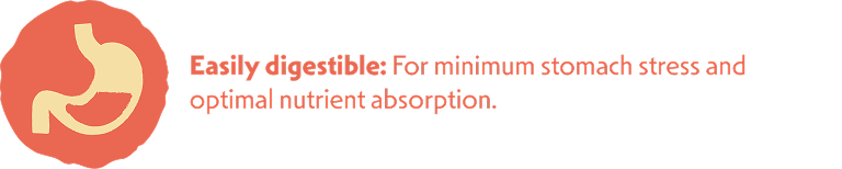 licht verteerbaar hondenvoer zalm