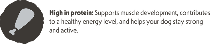 eiwitrijk hondenvoer